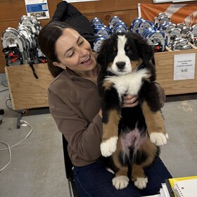 une membre du peronnel avec un petit chiot sur ses genoux